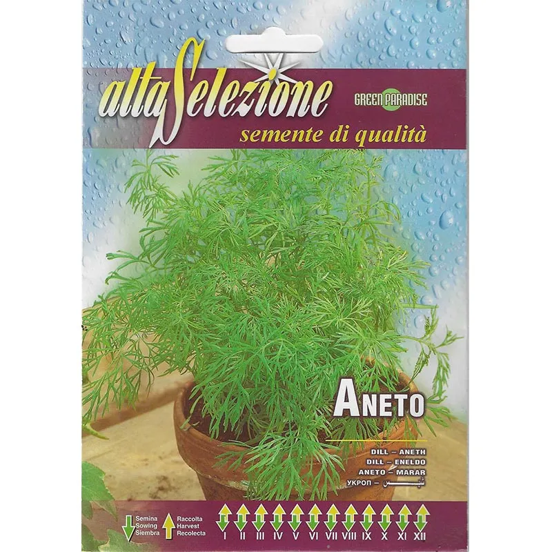 alta selezione dill (aneto) premium quality seeds – aromatic culinary and medicinal herb alta selezione dill (aneto) premium quality seeds – aromatic culinary and medicinal herb