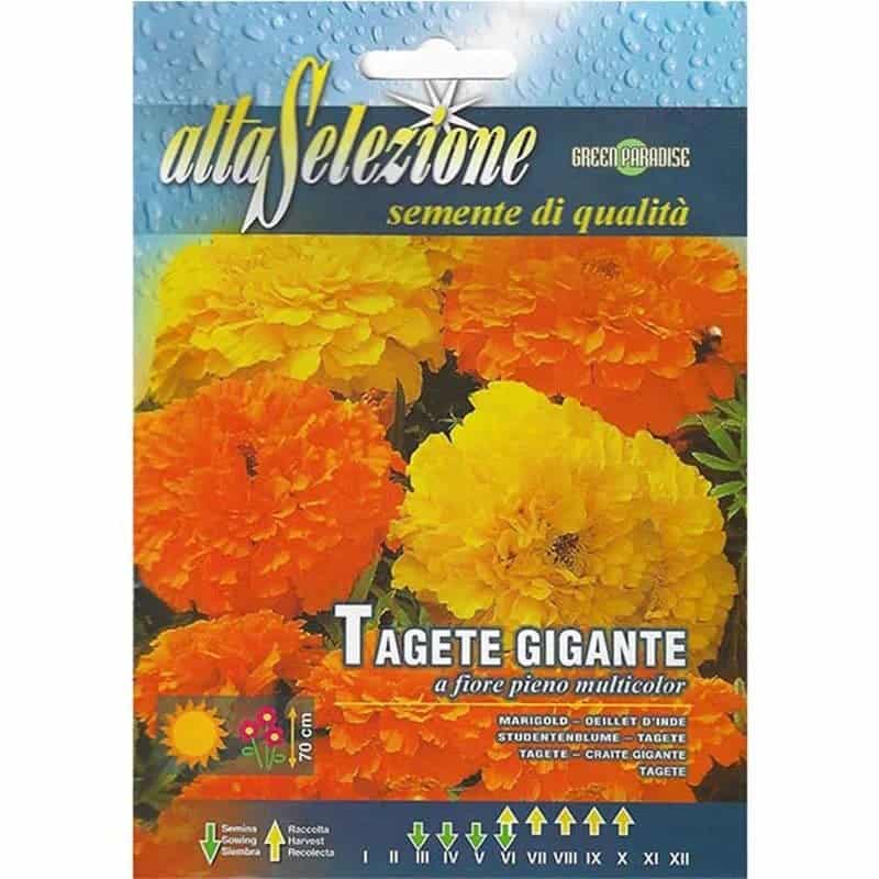 tagete gigante multicolor flower seeds