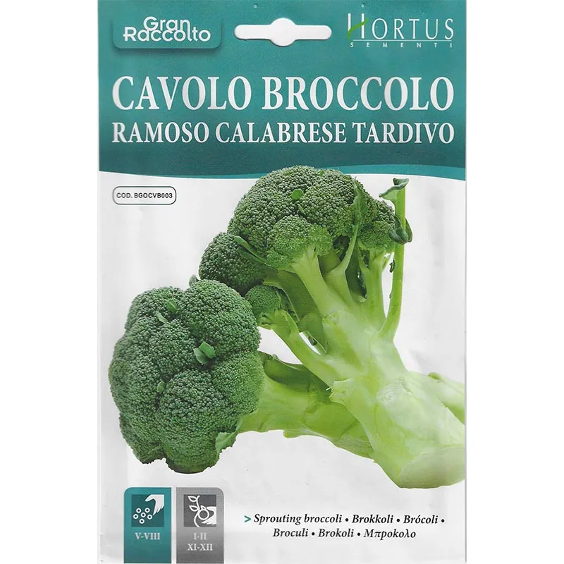 hortus (copy) Cavolo Broccolo Ramoso Calabrese Tardivo