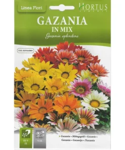 Gazania In Mix