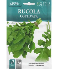 Rucola Coltivata