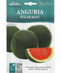 Anguria Sugar Baby