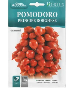 Pomodoro Principe Borghese
