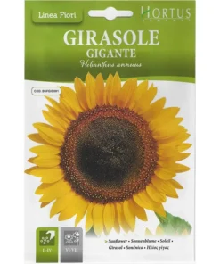 Hortus Sunflower