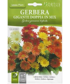 African Daisy Mix Premium Quality Seeds