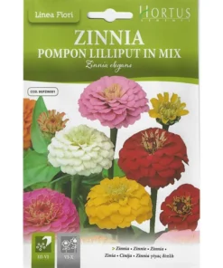 Zinnia Pompon Lilliput in Mix