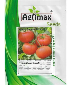 Hybrid Tomato Dayana F1