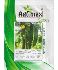 Hybrid Cucumber Zain F1
