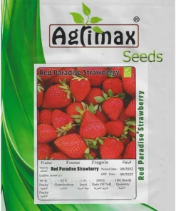 Red Paradise Strawberry