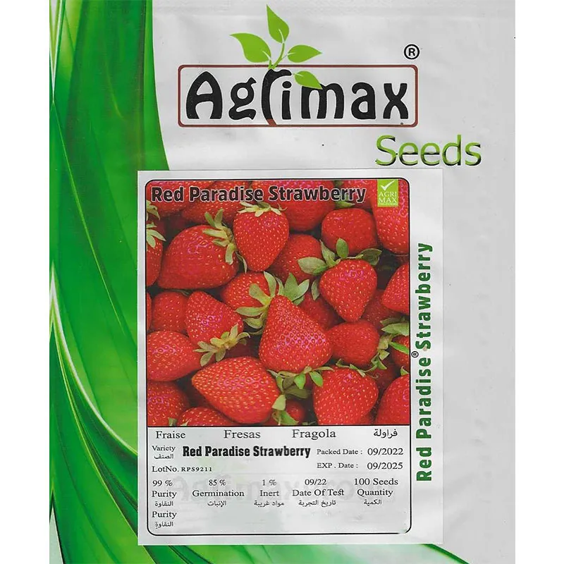 omaxe hybrid (copy) Red Paradise Strawberry