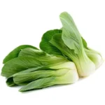 Pak Choy F1 Green Crysta