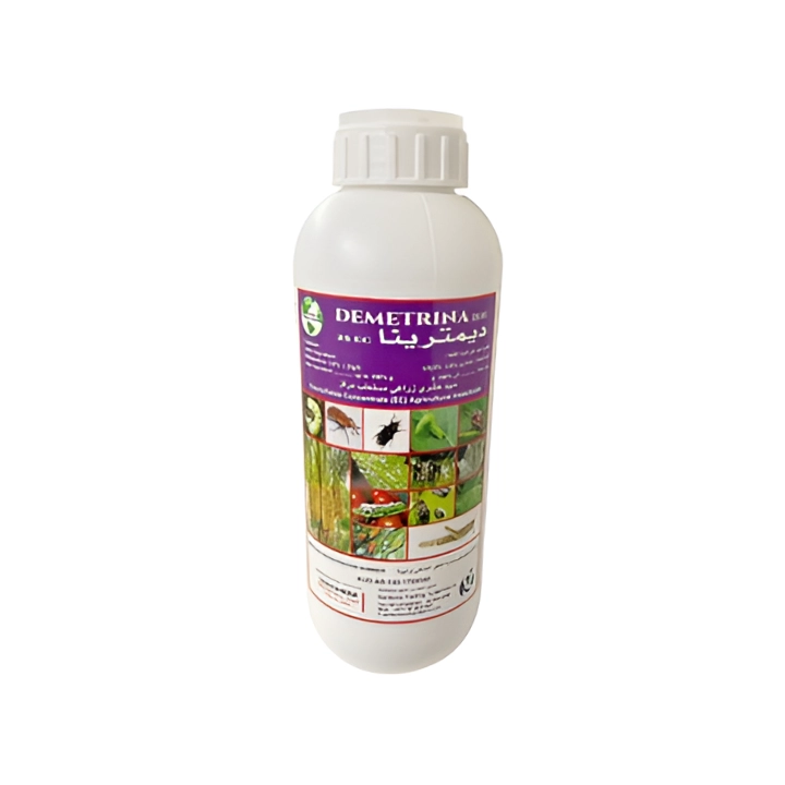 auto draft ديمترينا