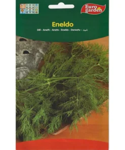Dill Premium Quality seed