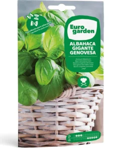 Genoese Giant Basil