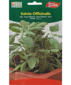 Salvia Officinalis Premium