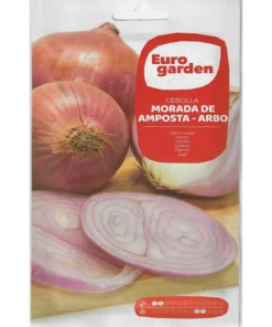 Amposta Purple Onion