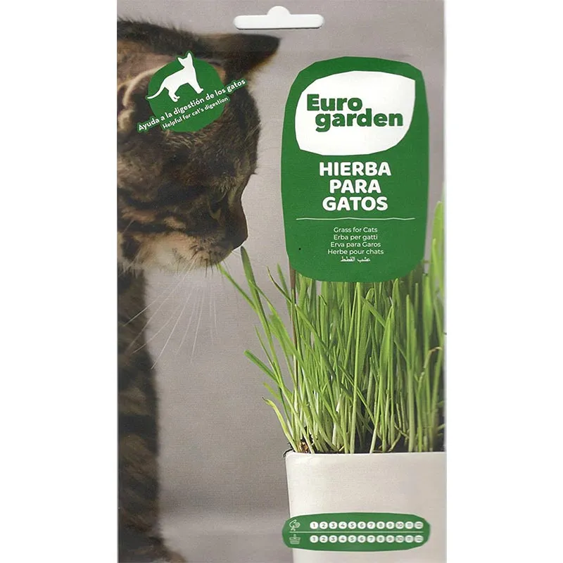 fresh cat grass seeds – ideal for healthy cat digestion euro garden cat grass (hierba para gatos) premium quality seeds Cat Grass Hierba Para Gatos