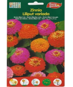 Zinnia Lilliput Mix Premium