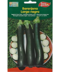 black-eggplant-long-premium