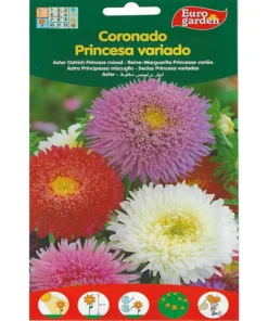 Aster Ostrich Princess Mixed