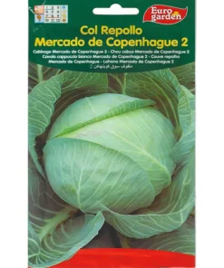 Cabbage Mercodo De Copenhague 2