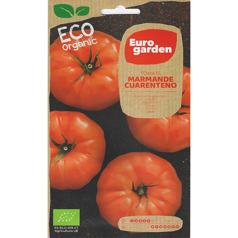 euro garden eco organic marmande tomato (marmande cuarenteno) premium quality seeds Marmande Tomato