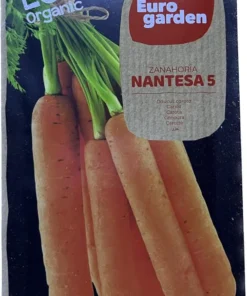 Daucus carota carrot premium seed