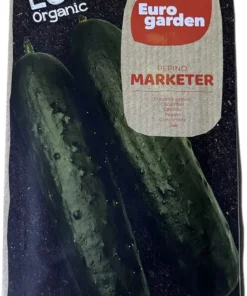 Pepino Marketer (Cucumis Sativus) Cucumber