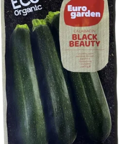 Eco Organic Calabacin Black Beauty