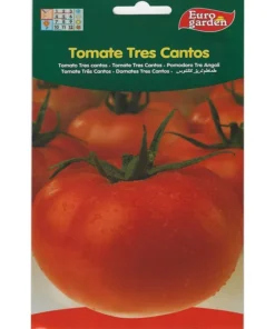 Tomato Tres Cantos