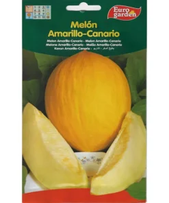 euro garden canary yellow melon seeds