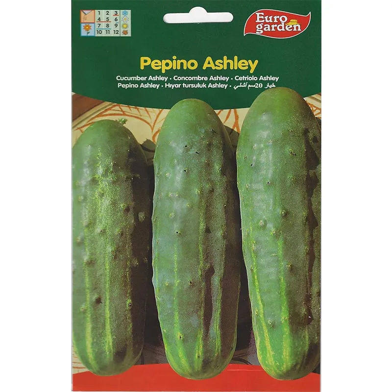 euro garden cucumber ashley seeds premium quality for home & commercial gardening Cucumber Ashley Premium