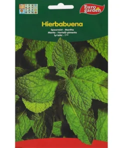 Spearmint Premium Quality Seeds