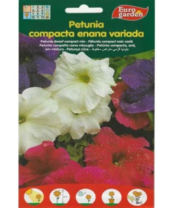 Petunia Dwarf Compact Mix