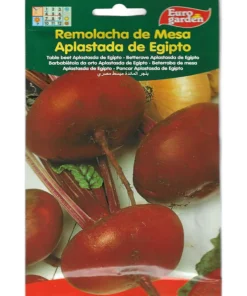 Table Beetroot Egypt Dish