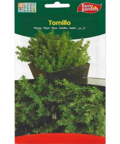 Thyme Premium Quality