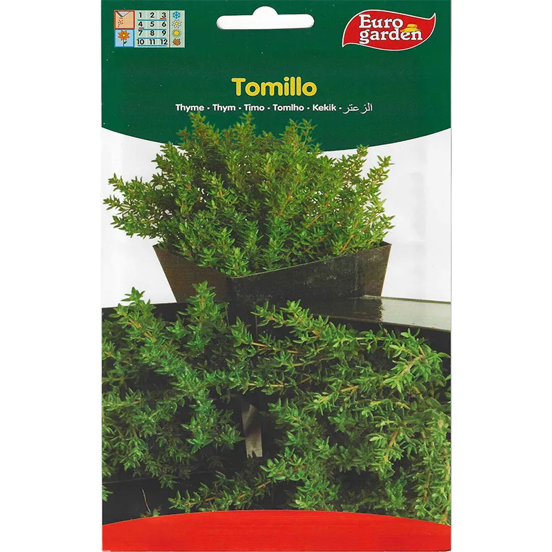 thyme premium quality – grow fragrant, flavorful thyme easily for culinary and health uses! Thyme Premium Quality