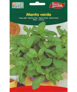 Green Mint Premium Seed