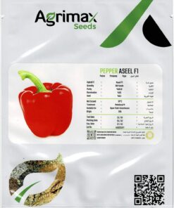Agrimax Pepper Aseel F1 Seeds