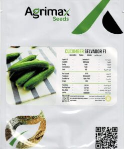 Agrima Salvador FI Cucumber Seeds – High-Yield Hybrid Variety