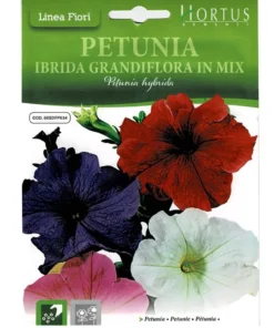 Petunia Ibrida Grandiflora In Mix