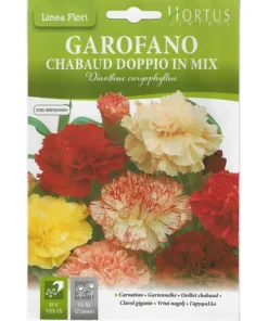 garofano-chabaud-doppio-in-mix