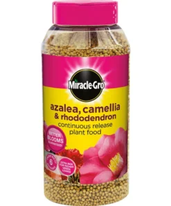 acid loving plant fertilizer uae – miracle gro for azalea & camellia