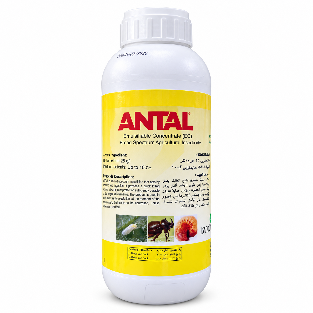 antal® ec broad spectrum insecticide – deltamethrin 25g/l | uae pest control antal® ec broad spectrum insecticide – deltamethrin 25g/l | uae pest control