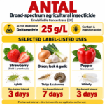 antal® ec broad spectrum insecticide – deltamethrin 25g/l | uae pest control