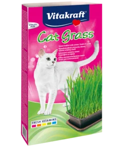 cat grass kit uae – vitakraft cat grass 120g for indoor cats