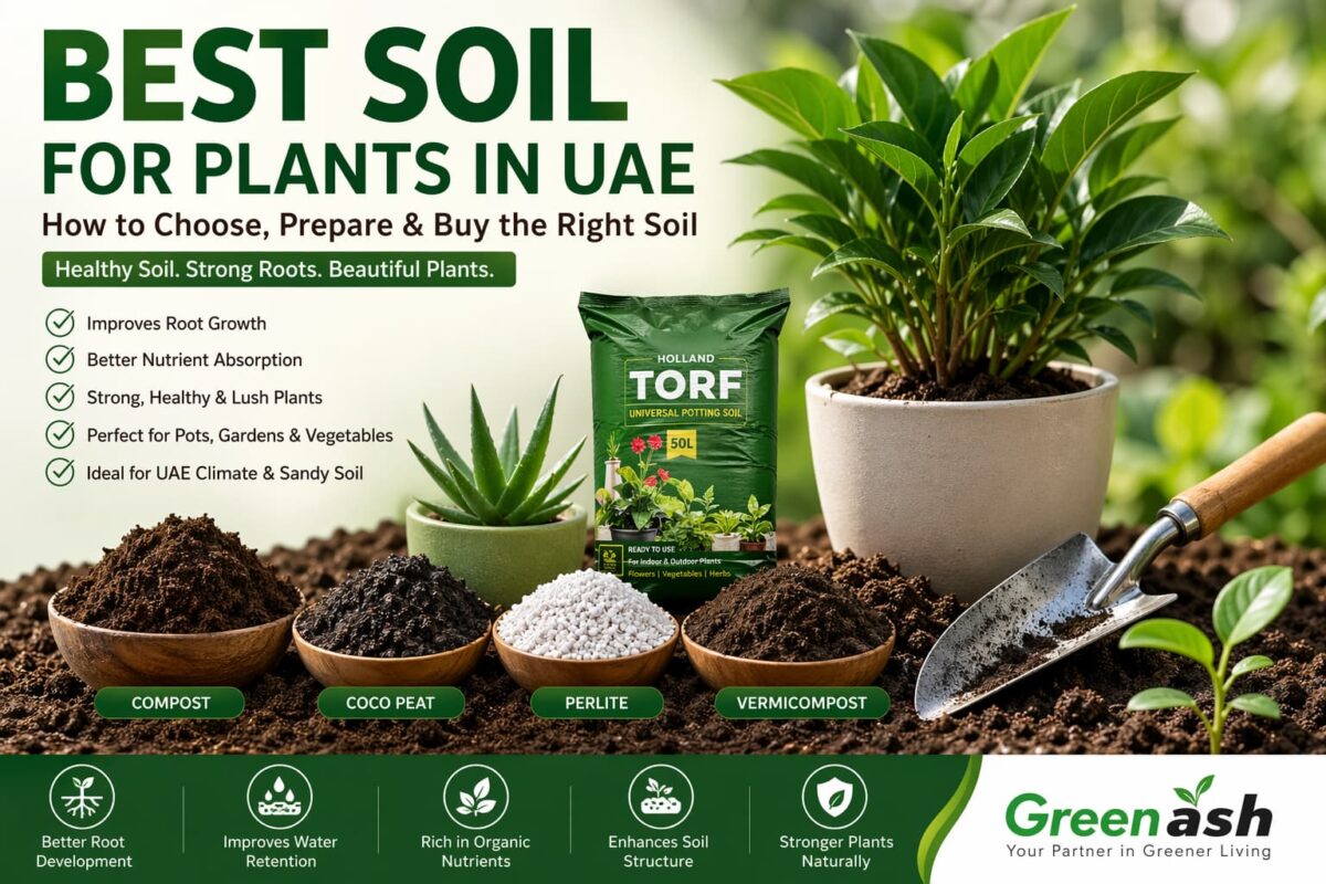 best soil