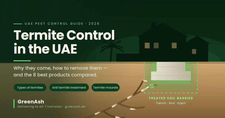 Termite control in UAE guide