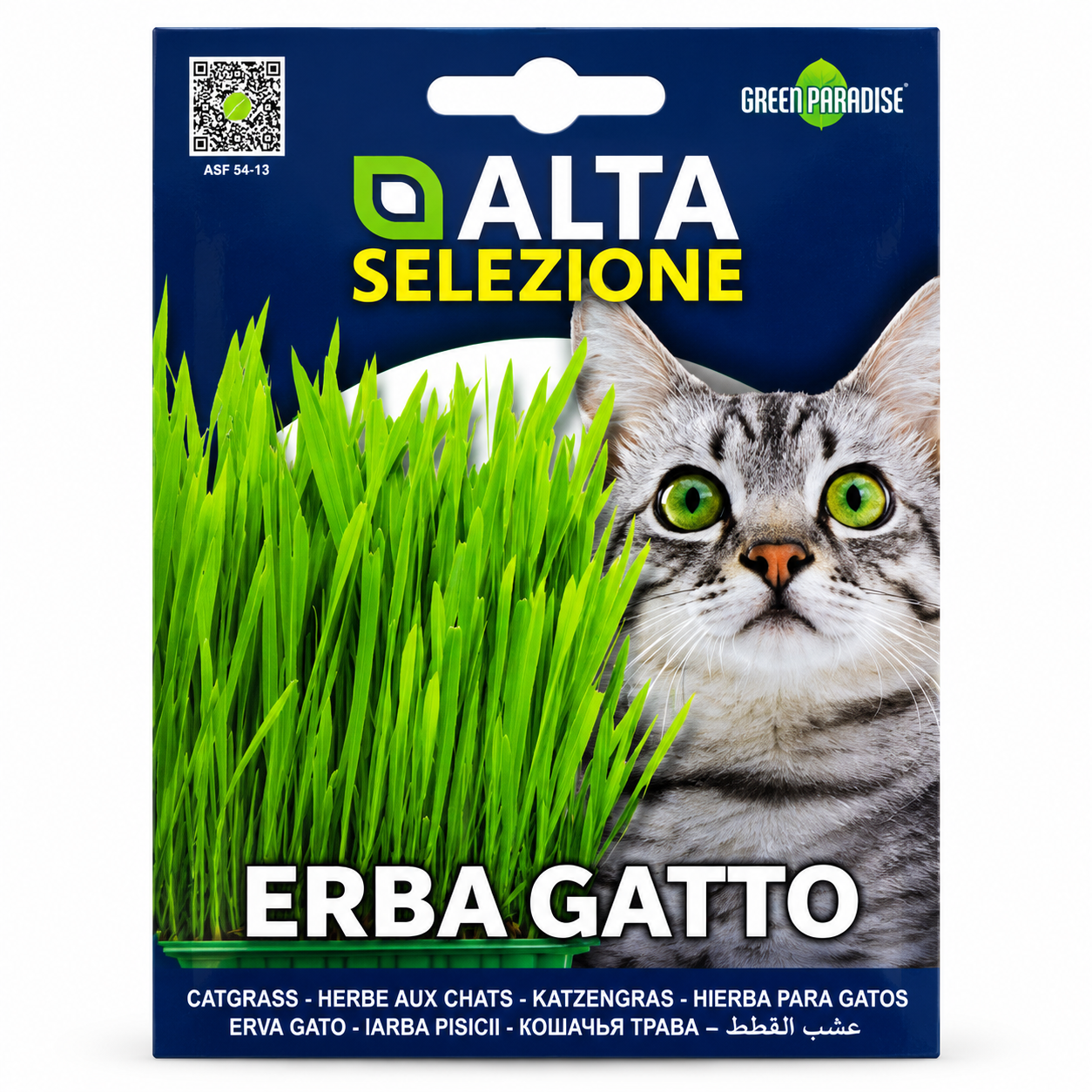 green paradise erba gatto cat grass seeds – easy to grow indoor catgrass green paradise erba gatto cat grass seeds – easy to grow indoor catgrass