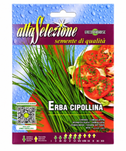 green paradise chives seeds – erba cipollina medium leaf | italian herb seeds